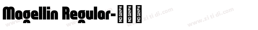 Magellin Regular字体转换